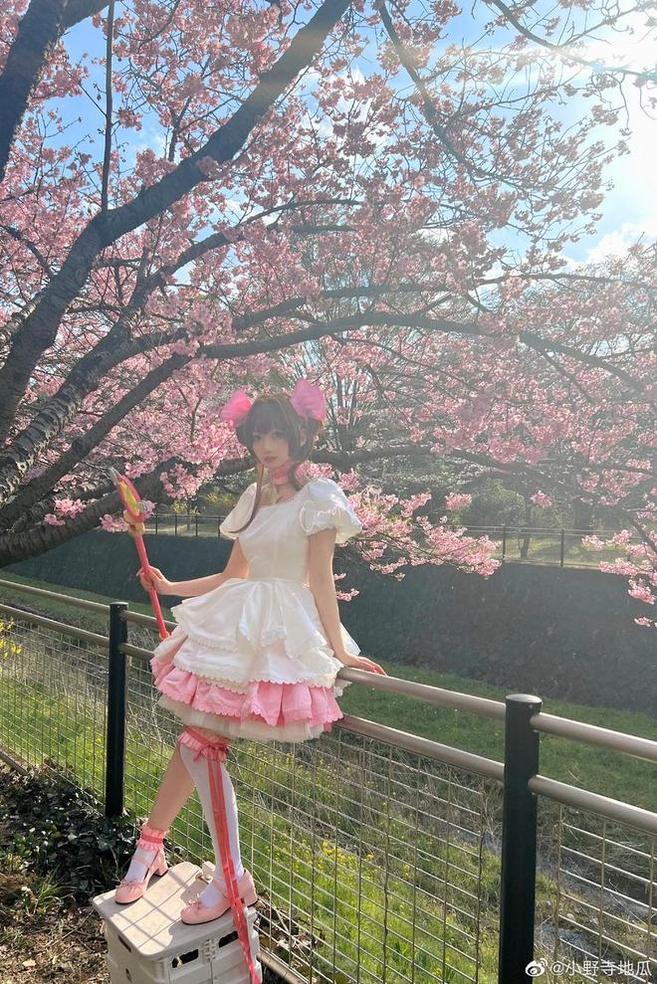 小野寺地瓜 若隐若现的魅力:小野寺地瓜恶毒白兔的最新图包