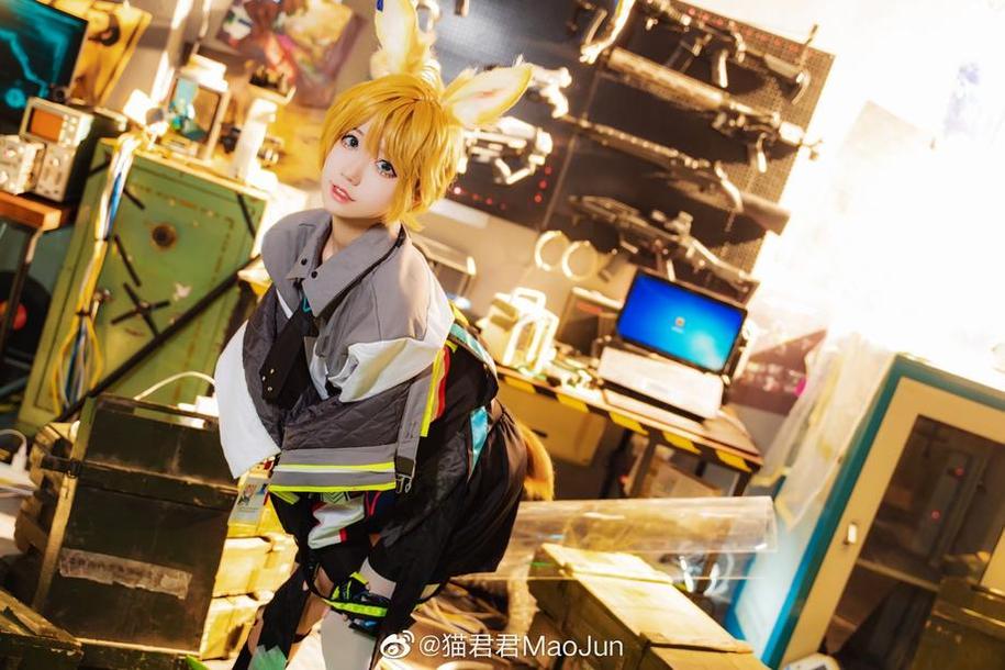 猫君君图片拍下的宠物美图，让你爱上猫咪